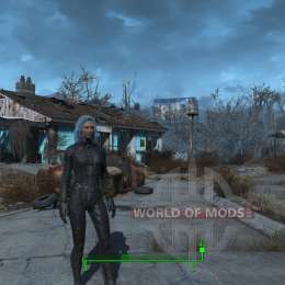 Sex change mod for Fallout 4