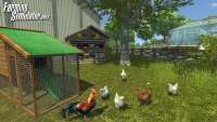 Screenshot chickens from Farming Simulator 2013
