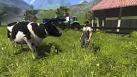 Cattle in Farming Simulator 2013