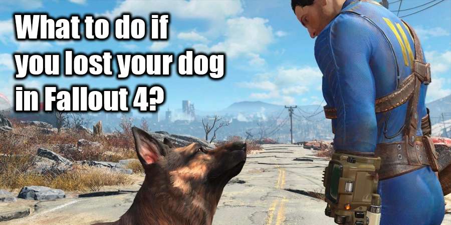 Missing Dogmeat in Fallout 4