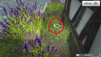 Finding horseshoes in Farming Simulator 2013 - 37