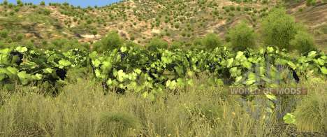Vegetation on the Italy map for BeamNG Drive