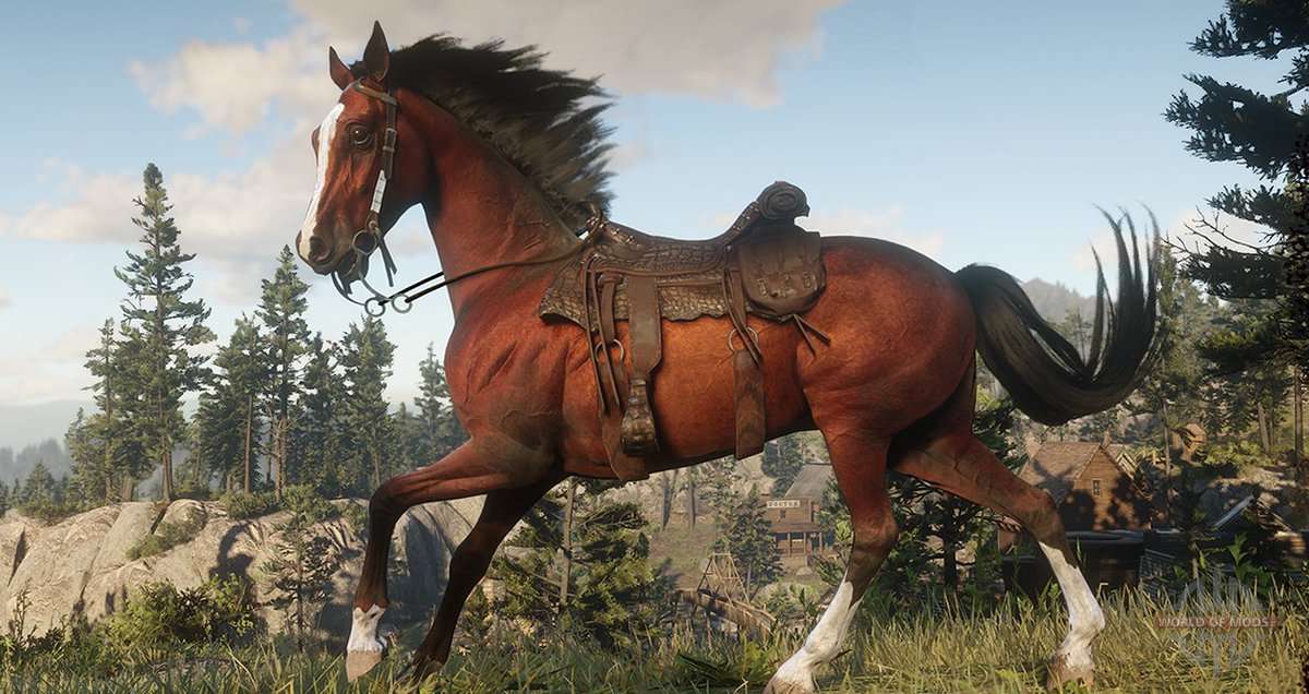 Localização 2 Cavalos Mustangue em Red Dead Redemption 2 #reddeadredem