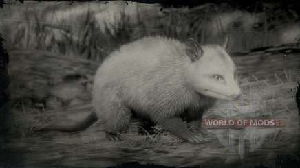 Virginia opossum in the game Red Dead Redemption 2