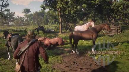 Red Dead Redemption 2: save the horse from death