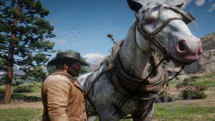 Red Dead Redemption 2: how to clean a horse