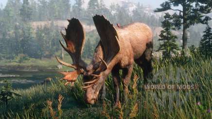 Where to look for animals and birds in Red Dead Redemption 2 – maps