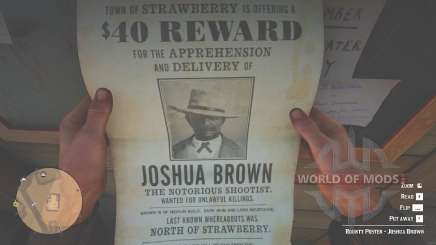 Joshua Brown Poster