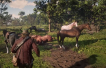Red Dead Redemption 2: save a horse
