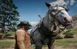 Red Dead Redemption 2: how to clean a horse