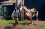 Horse in Red Dead Redemption 2: how to train you