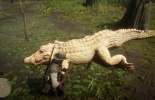 Guide on the hunt for a legendary alligator