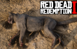 Panther in Red Dead Redemption 2: where to find