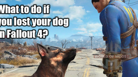 Dogmeat or any other companion is lost? The solution is here!