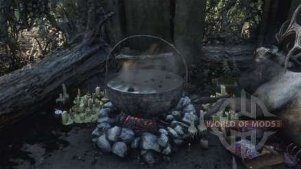 Where and how to find the witch's cauldron in RDR 2? Location map and description