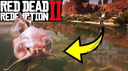 Legendary catfish in Red Dead Redemption 2 - how to catch?