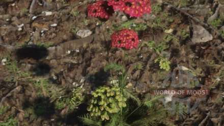 Red Dead Redemption 2 - where to find the plant yarrow