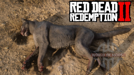 Where to find a Cougar in Red Dead Redemption 2 – instructions and photo
