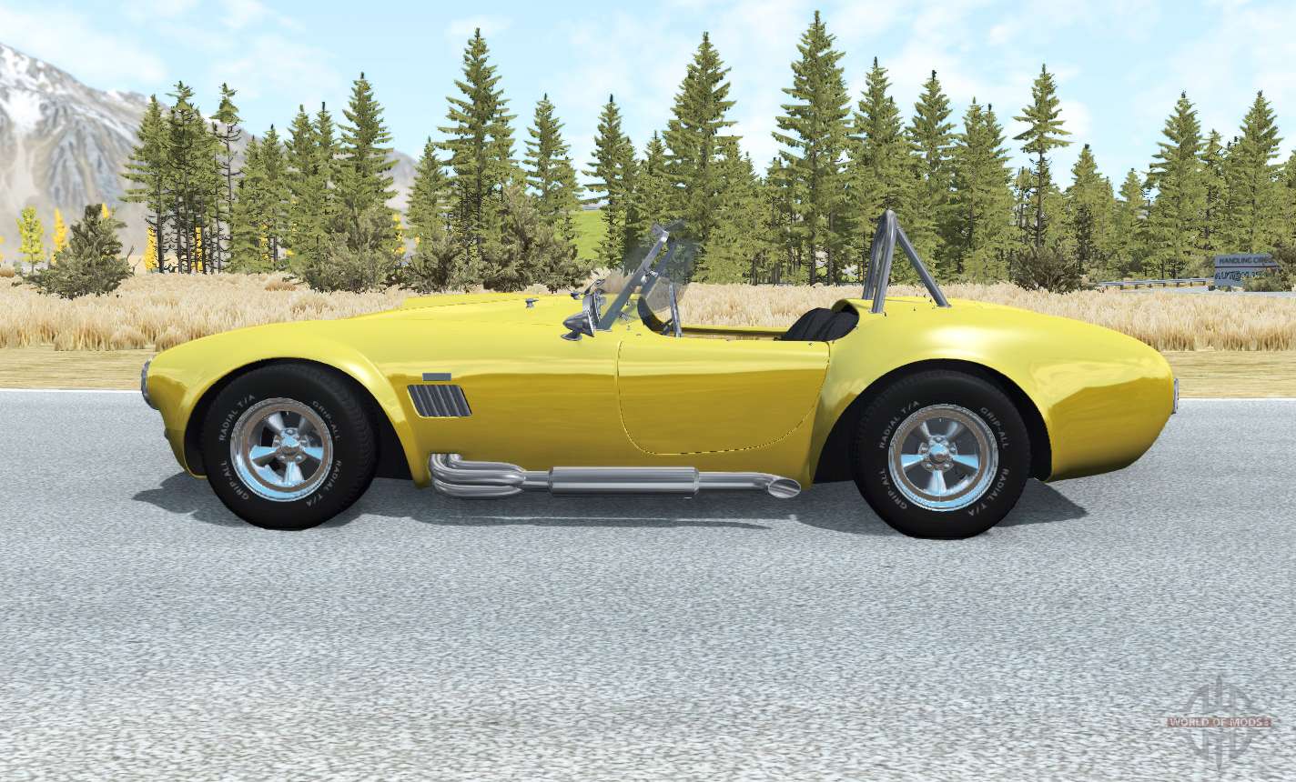 Ford shelby beamng